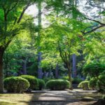 Deep tuning per il giardino con un impianto antizanzare a nebulizzazione