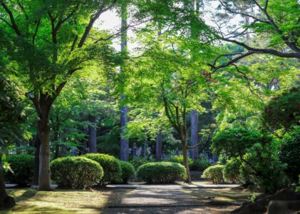 Deep tuning per il giardino con un impianto antizanzare